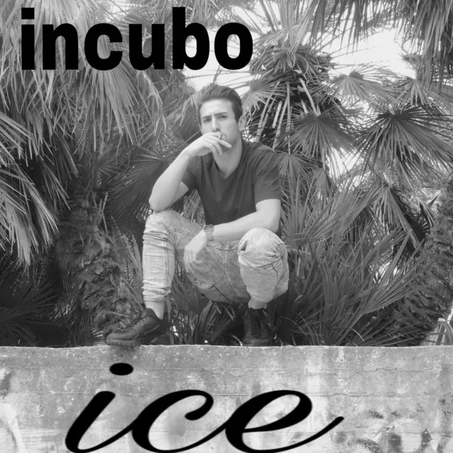 Incubo