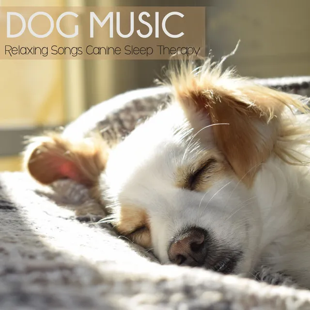 Dog Music Zone