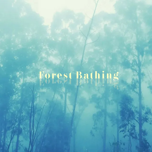 Forest Bathing