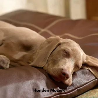 Honden Muziek by Honden Records