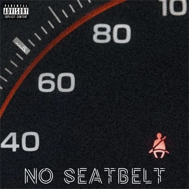 No Seatbelt