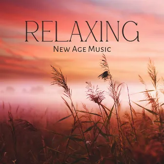 Relaxing New Age Music by Eco Lyli