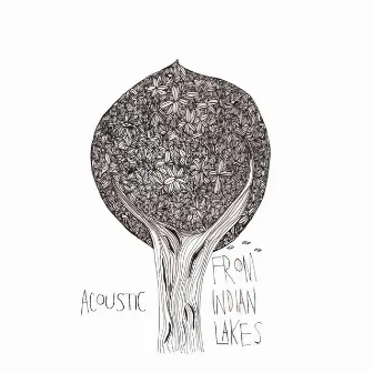 Acoustic EP by From Indian Lakes