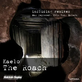 The Roach by Kaelo