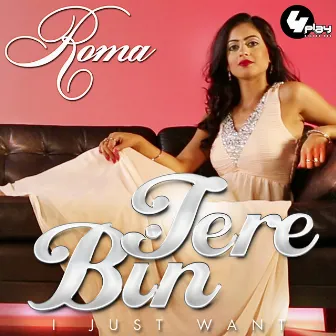 Tere Bin (I Just Want) by Roma