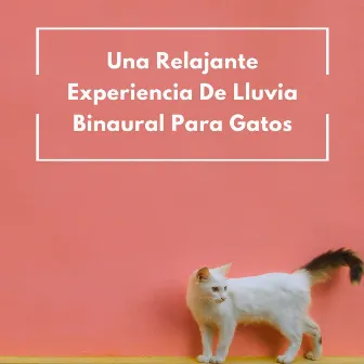 Una Relajante Experiencia De Lluvia Binaural Para Gatos by La biblioteca de la lluvia