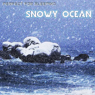 Perfect for Sleeping: Snowy Ocean by Ocean Sounds