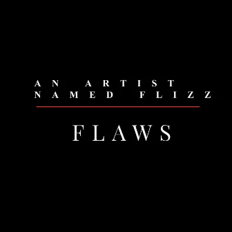 Flaws by An Artist Named Flizz