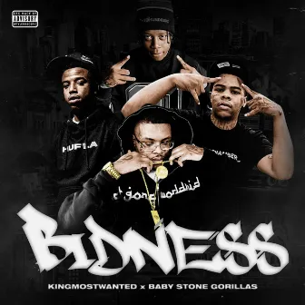 BIDNESS by Baby Stone Gorillas