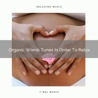 Organic Womb Tunes In Order To Relax by Brown Noise Therapy