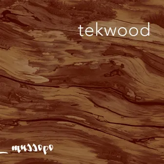 Tekwood by Unknown Artist