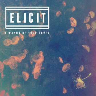 I Wanna Be Your Lover (Radio Edit) by Elicit