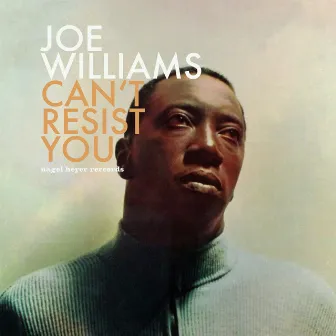 Can't Resist You - My Summer Love by Joe Williams