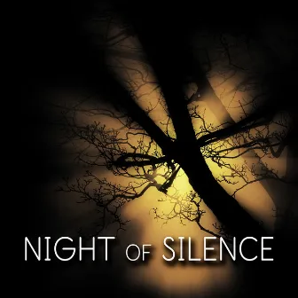 Night of Silence - Good Night's Sleep, Dreaming All Night Long, Background Music for Trouble Sleeping, Soothing Sounds for Relaxation and Inner Peace, Lounge Music by Silent Night Music Academy