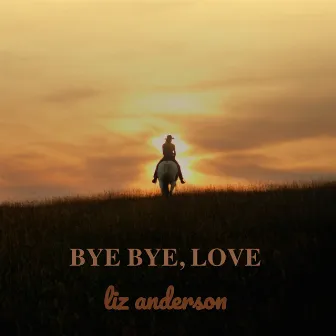 Bye Bye, Love by Liz Anderson