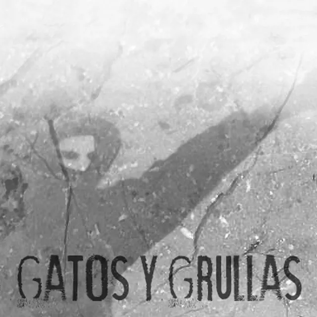 Gatos y Grullas