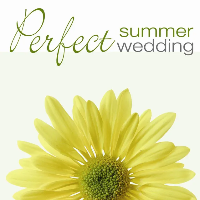 Perfect Summer Wedding