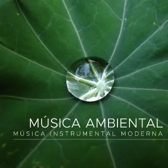 Musica Ambiental: Musica Instrumental Moderna by Unknown Artist