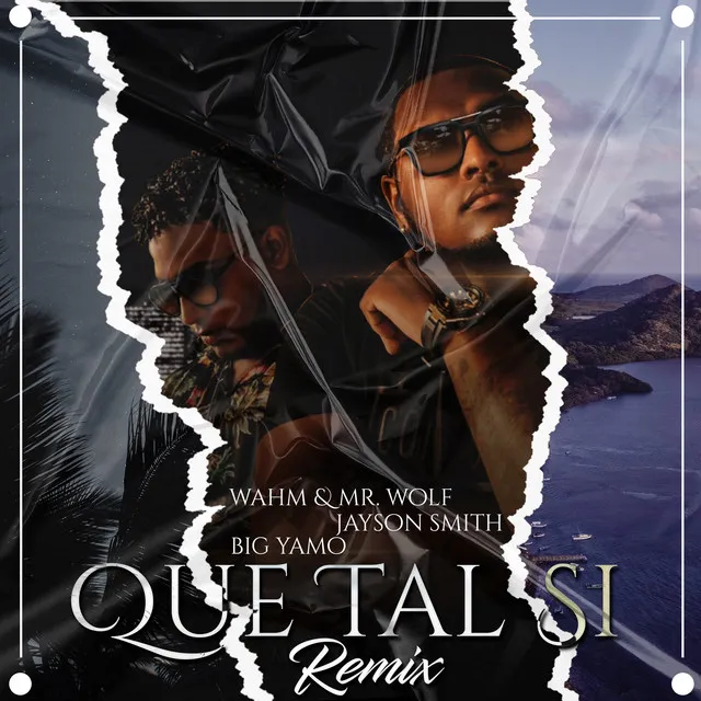 Que Tal Si - Remix