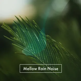 Mellow Rain Noise by Lush Rain Creators