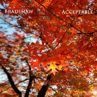 Acceptable by Bradshaw