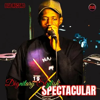 Spectacular by Dignitary Stylish