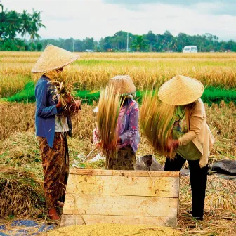 Binaural Rainfall Productivity: Workday Serenity Melodies by Calm Work Music