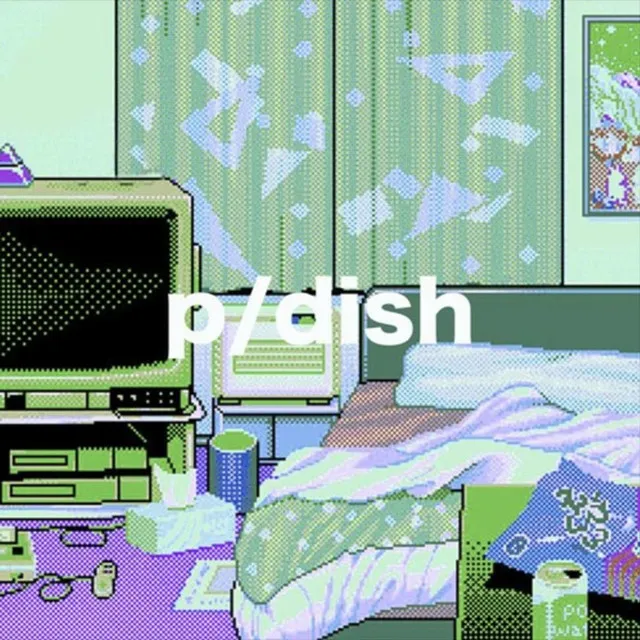 P / Dish