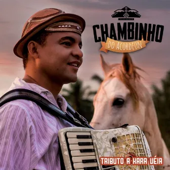 Tributo a Kara Véia by Chambinho do Acordeon