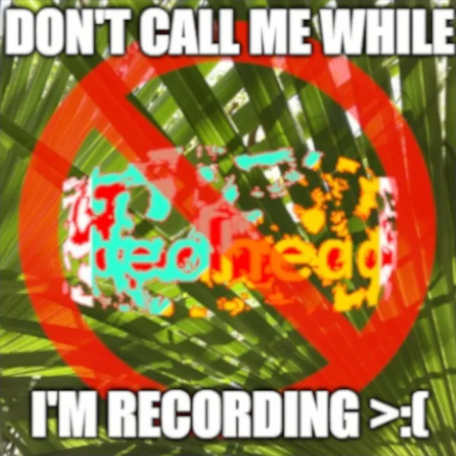 DON'T CALL ME WHILE I'M RECORDING >:(