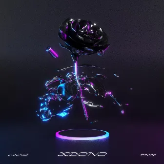 Xdono by SAN JUNO