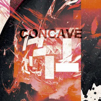 Concave by Gladiators