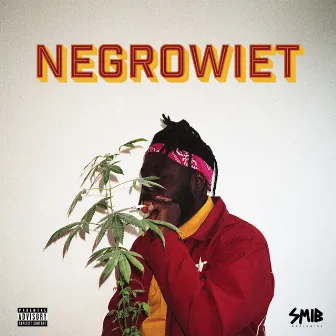 Negrowiet by Dess Finesse