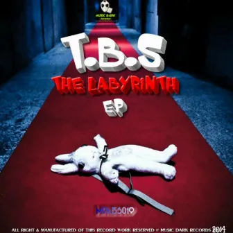 The Labyrinth EP by T.B.S.