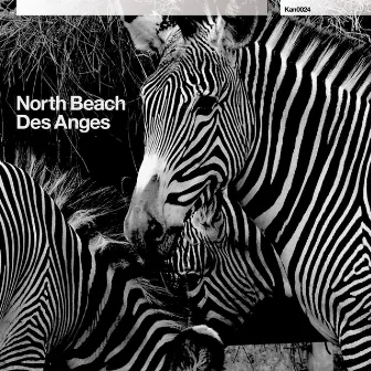 Des Anges by North Beach