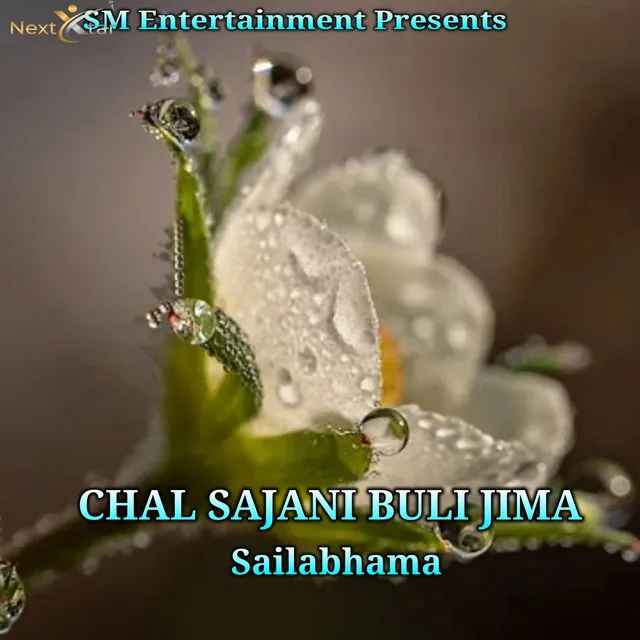 Chal sajani buli jima