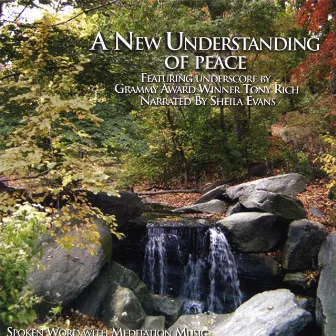 A New Understanding Of Peace by Tony Rich