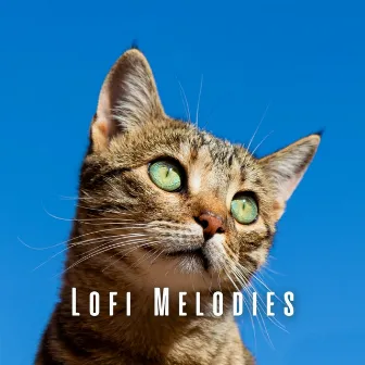 Lofi Melodies: Ambient Sounds for Serenading Cats by Sleepy Cat