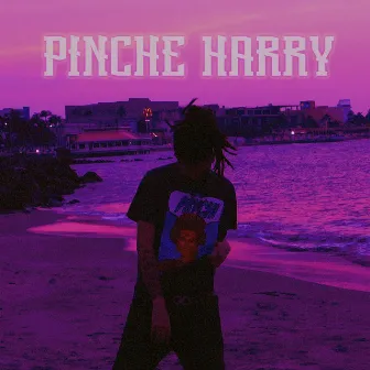 Pinche Harry by Aizer