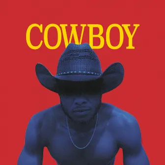 Cowboy by Unknown Artist