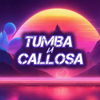 Tumba La Callosa by Aleteo Vip HD