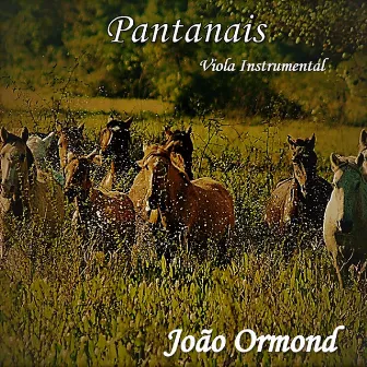 Pantanais by João Ormond