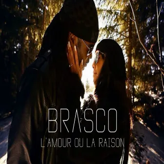 L'amour ou la raison by Brasco