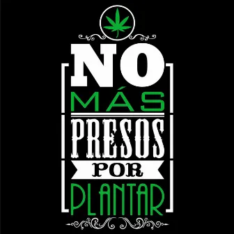 No Mas Presos Por Plantar (feat. Pablo Silvera & House of Riddim) by Ser Rasta