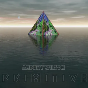 PRIMITIVE by Antony Wilson