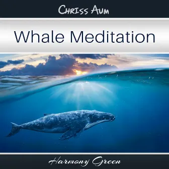 Whale Meditation by Chriss Aum