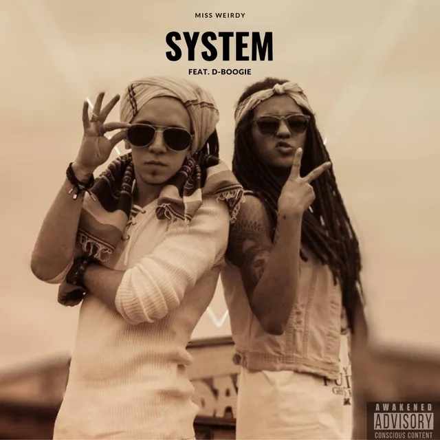 System