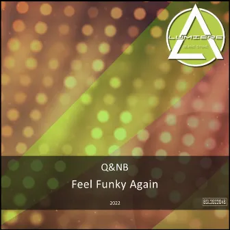 Feel Funky Again by Q&NB