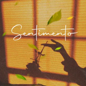 Sentimento by Ws do Beat