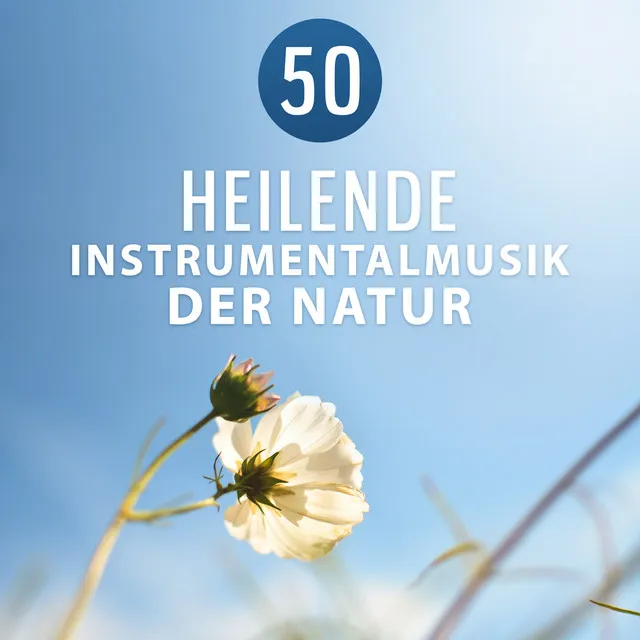 50 Heilende Instrumentalmusik der Natur: Tiefenentspannung und Autogenes Training mit Entspannungsmusik zum Meditation und Yoga, Stress Reduzierung Übung